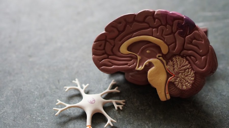 Neurology